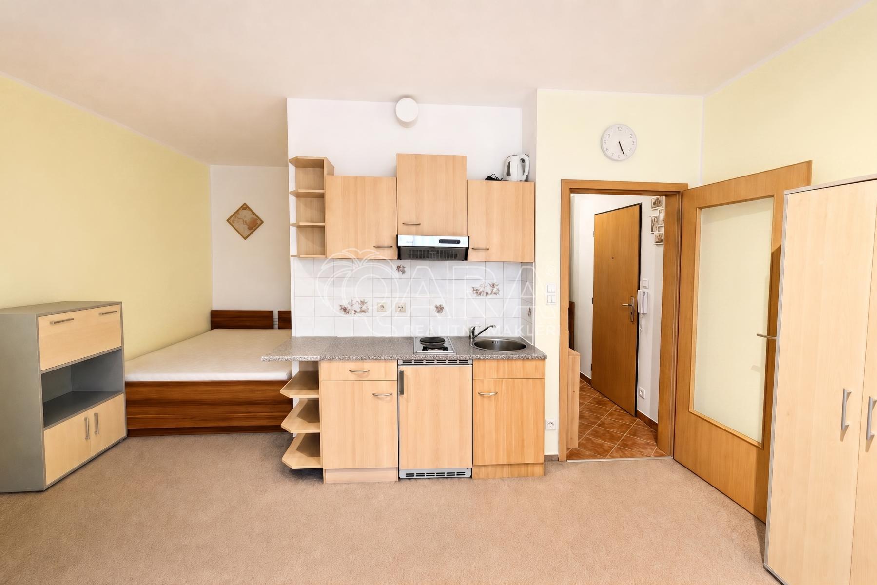Apartment 1+kk, Prague 5, Werichova